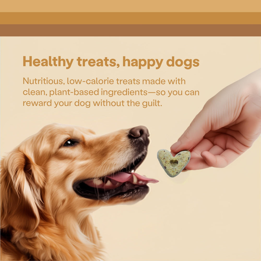 Wild Earth dog-eating-treat-closeup captures tasty peanut butter flavor and texture.