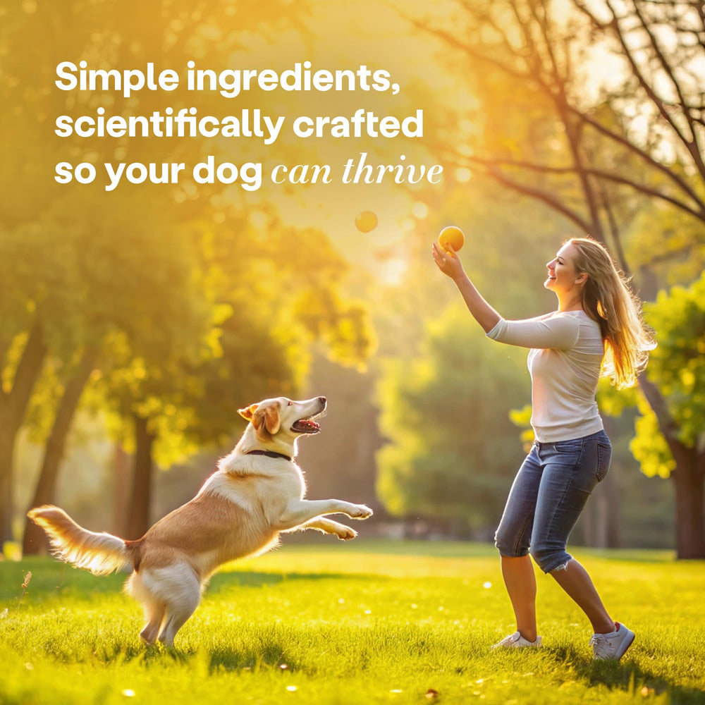 Wild Earth natural umami flavor—appealing bite that dogs eagerly choose.
