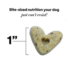 Wild Earth dog treats no fillers—clean ingredient bite for mindful snacking.