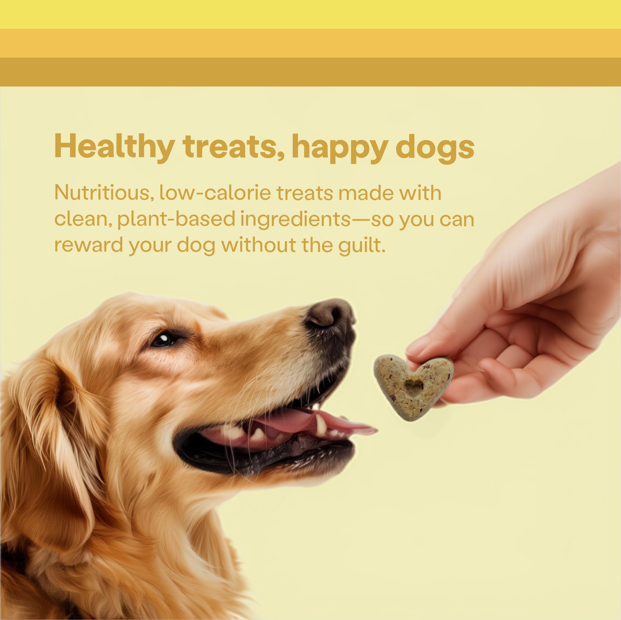 Wild Earth dog treats prebiotics koji protein—gut-friendly bite for healthy digestion.