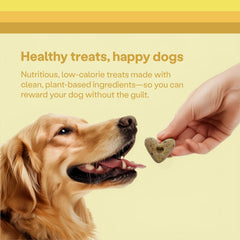 Wild Earth dog treats prebiotics koji protein—gut-friendly bite for healthy digestion.
