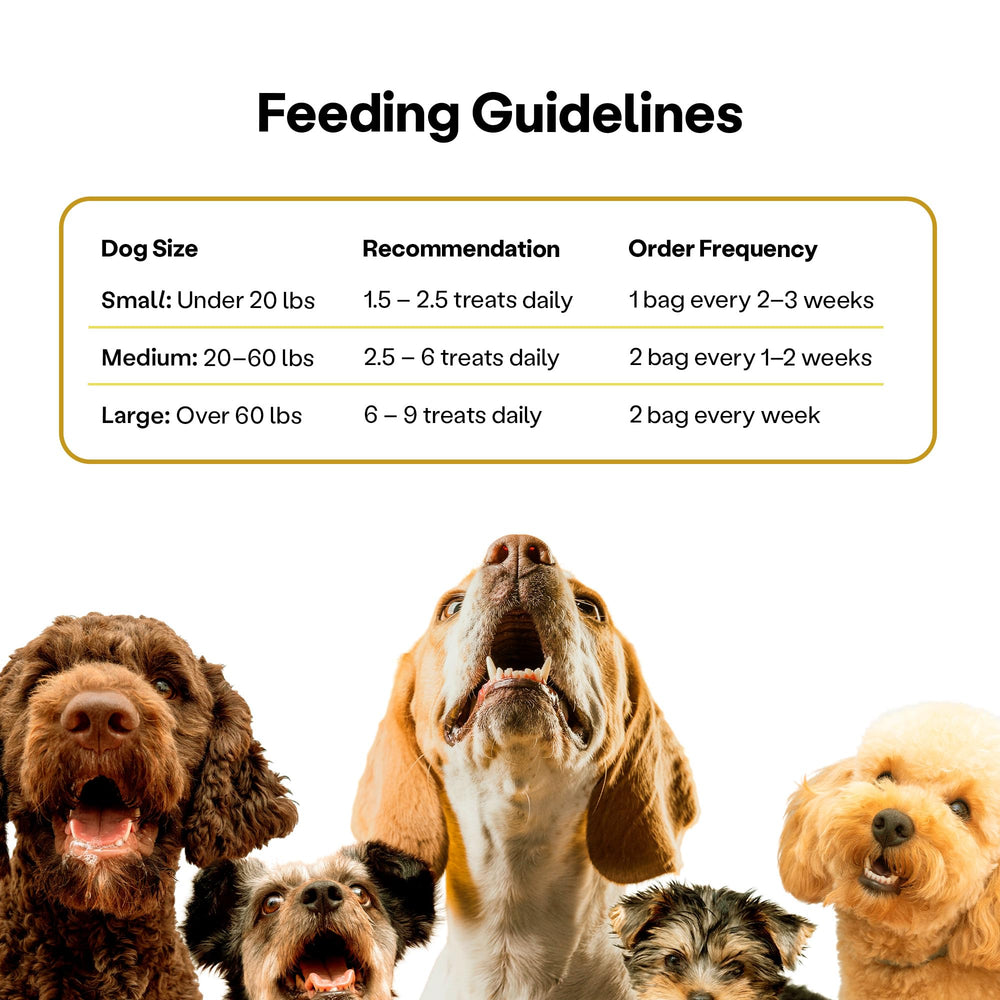 Wild Earth pumpkin flax oats bite—whole-food snack with crunchy texture.