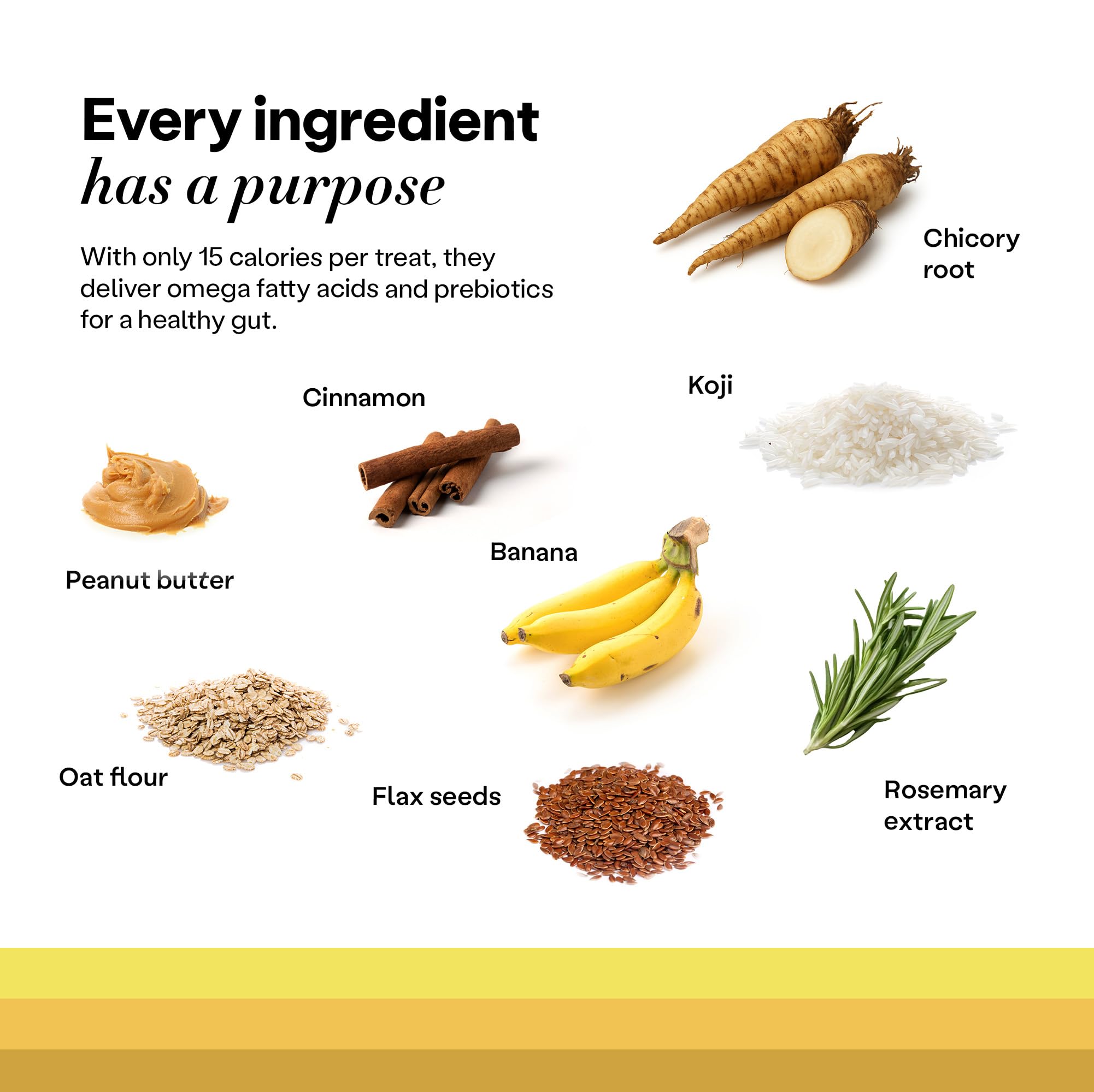 Wild Earth training-treat puppy—great for positive reinforcement during sessions.