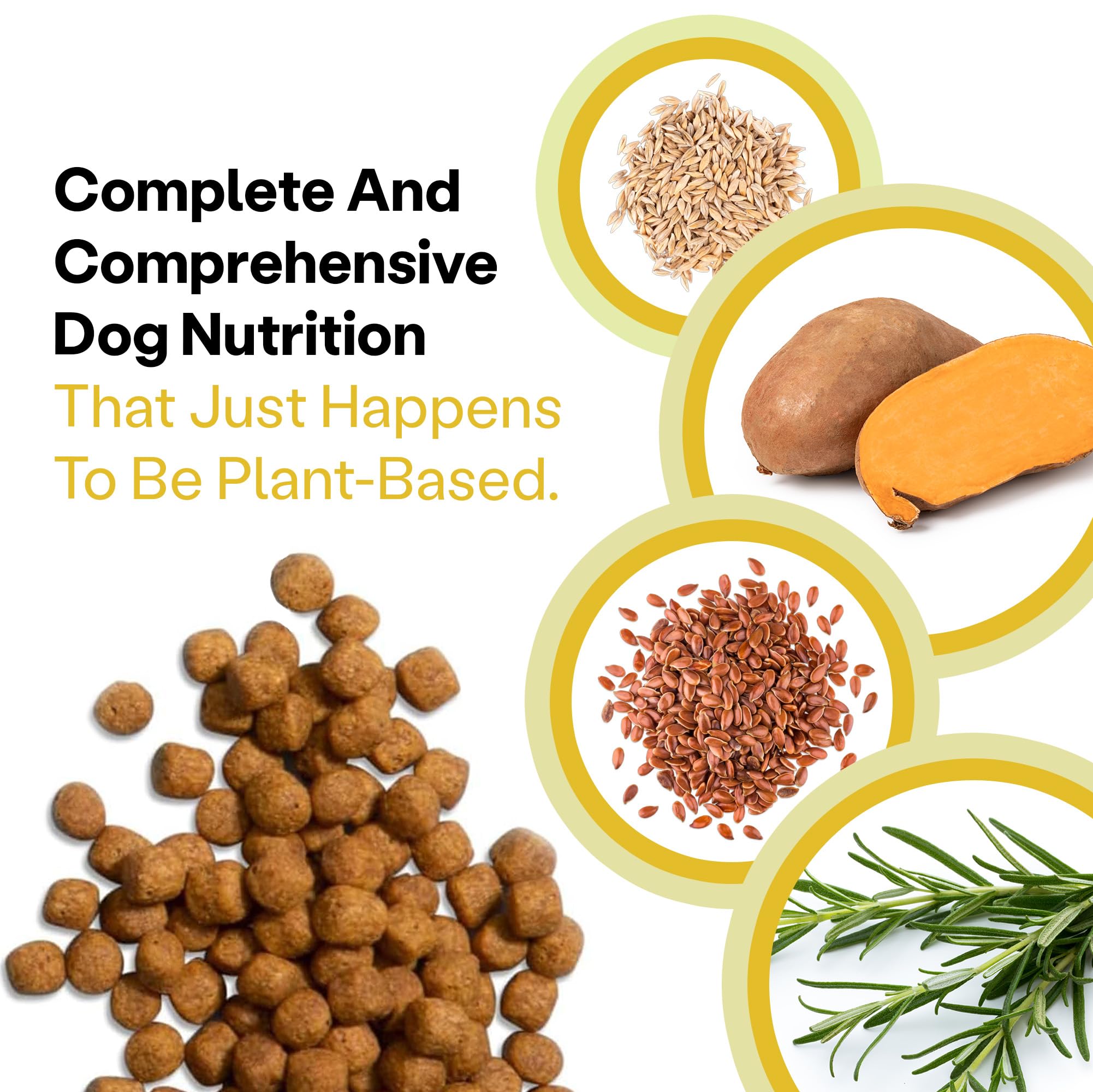 Wild Earth serving dish with kibble promotes healthy coat and digestion