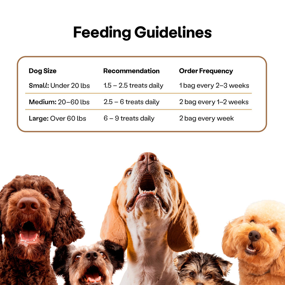 Wild Earth Koji-protein ingredient supports a complete amino acid profile for dogs.