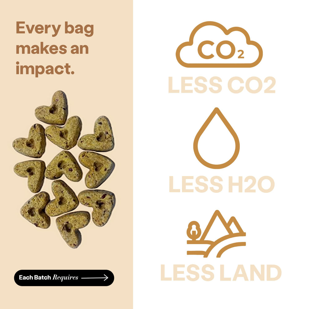 Wild Earth omega-acids in a dog bowl suggest coat and skin-friendly goodness.