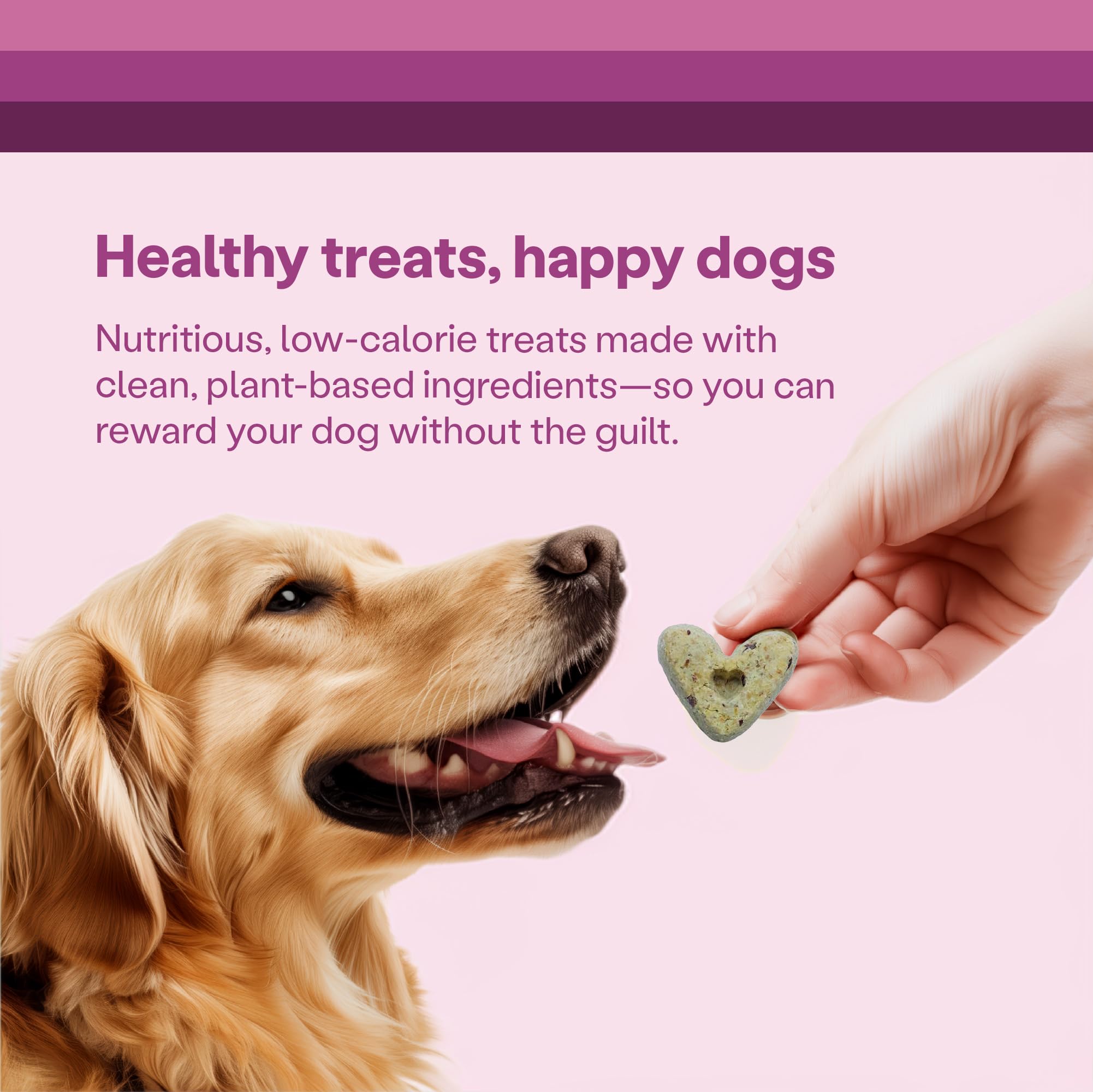 Wild Earth Superfood Dog Treats koji protein bite close-up highlighting protein source.
