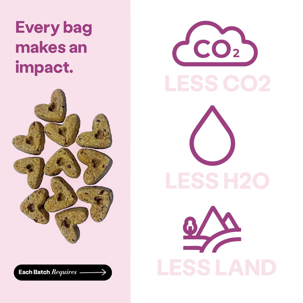 Wild Earth Superfood Dog Treats no-fillers label close-up emphasizing clean ingredients.