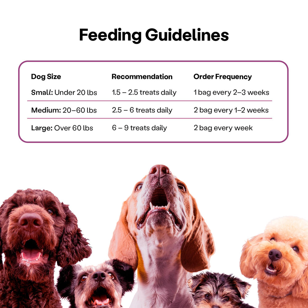 Wild Earth Superfood Dog Treats prebiotics bowl scene promoting healthy gut balance.