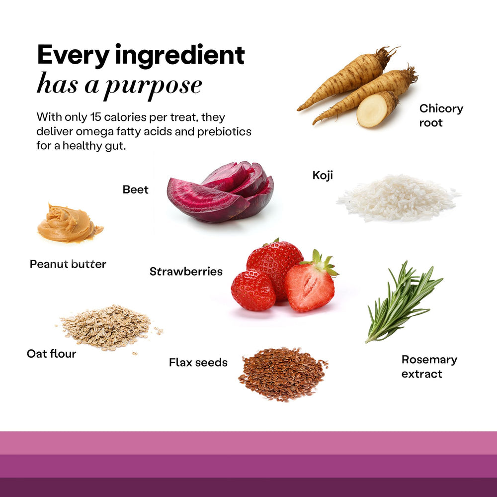 Wild Earth Superfood Dog Treats puppy training treat in hand for positive reinforcement.