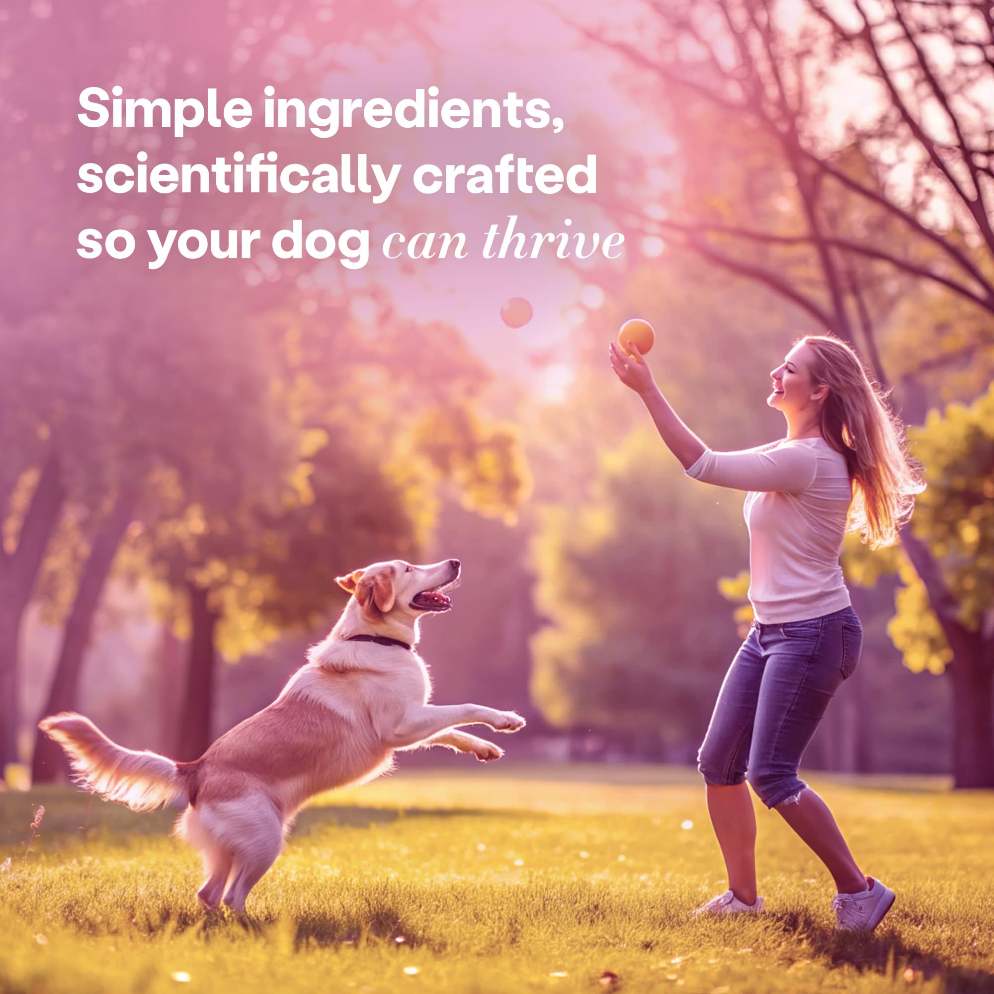 Wild Earth Superfood Dog Treats sustainable snack concept with eco-conscious packaging.