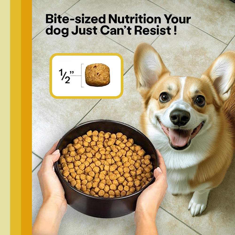 Wild Earth taurine and L-Carnitine packaging suggests heart support