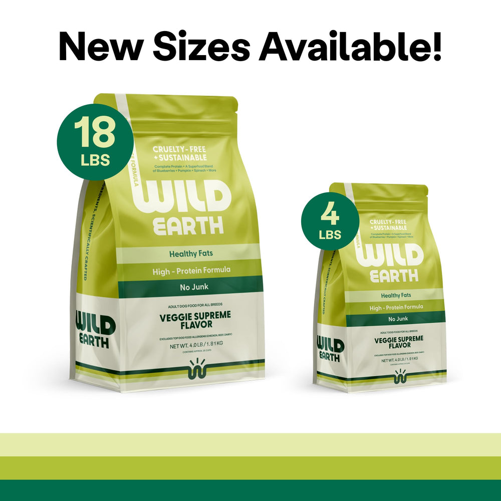 Wild Earth dog enjoying meal after activity emphasizes palatability and satisfaction.