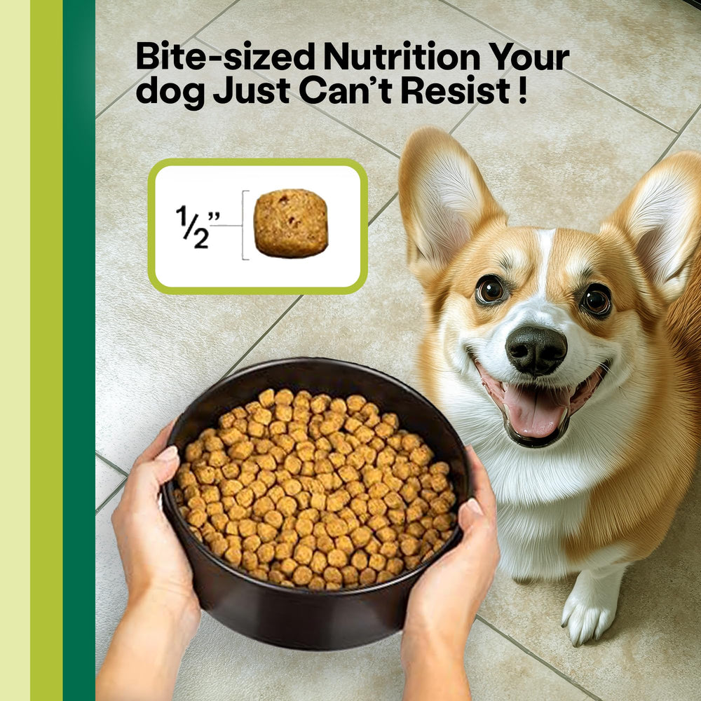 Wild Earth vet-developed label communicates science-backed formulation for canine nutrition.