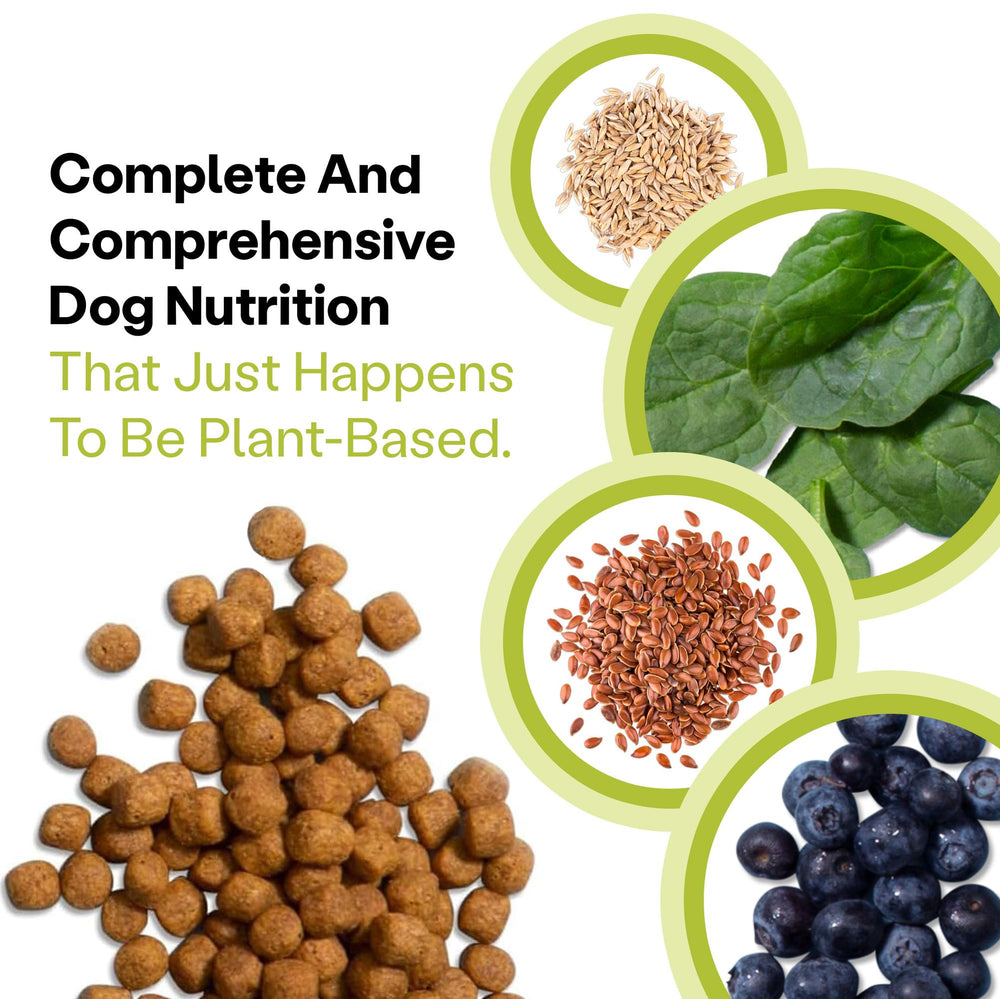 Wild Earth dog enjoying Veggie Supreme kibble aroma and taste.