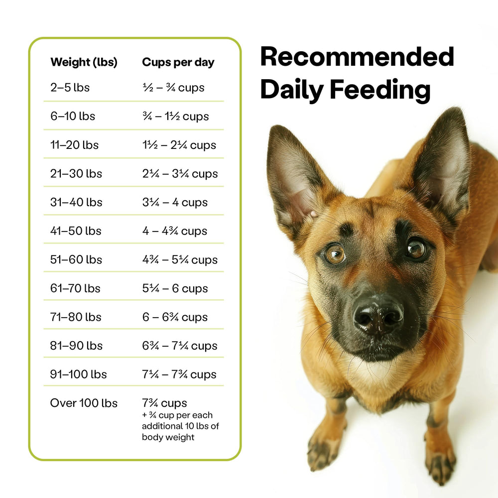 Wild Earth sustainable USA-made kibble with globally sourced ingredients.