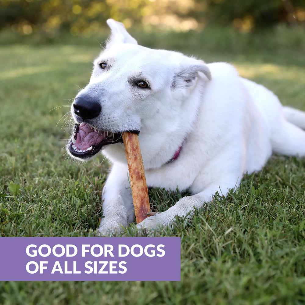 Wild Eats Collagen Chews supports joints and coats.