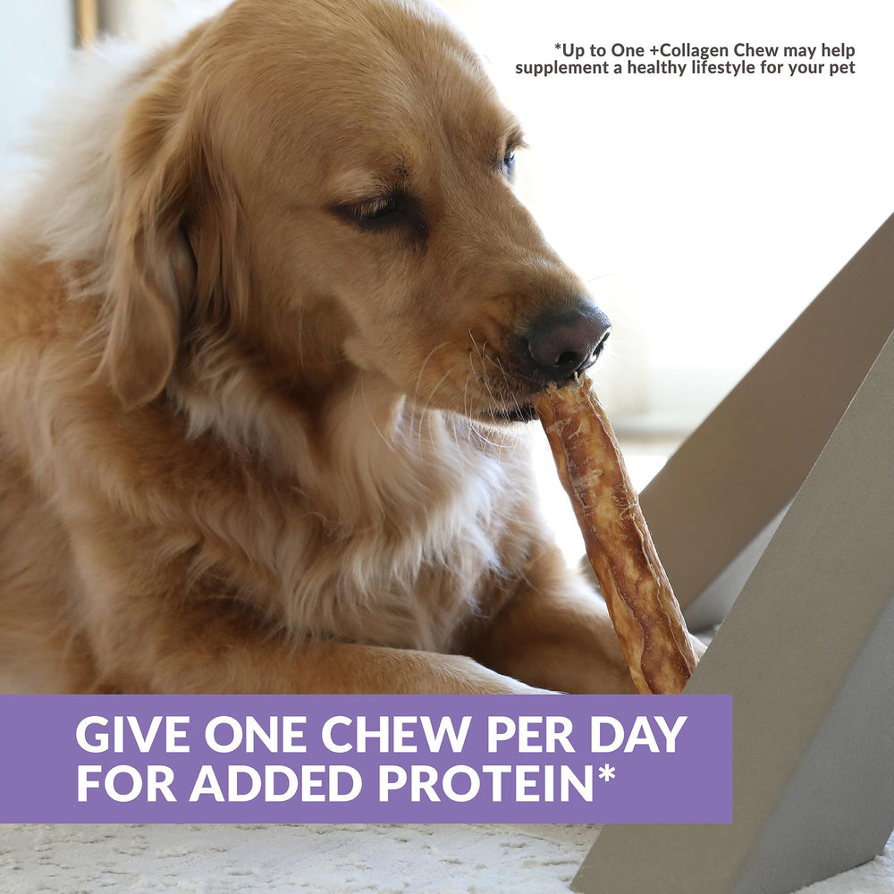 Wild Eats Collagen Chews ingredient label highlights real duck.