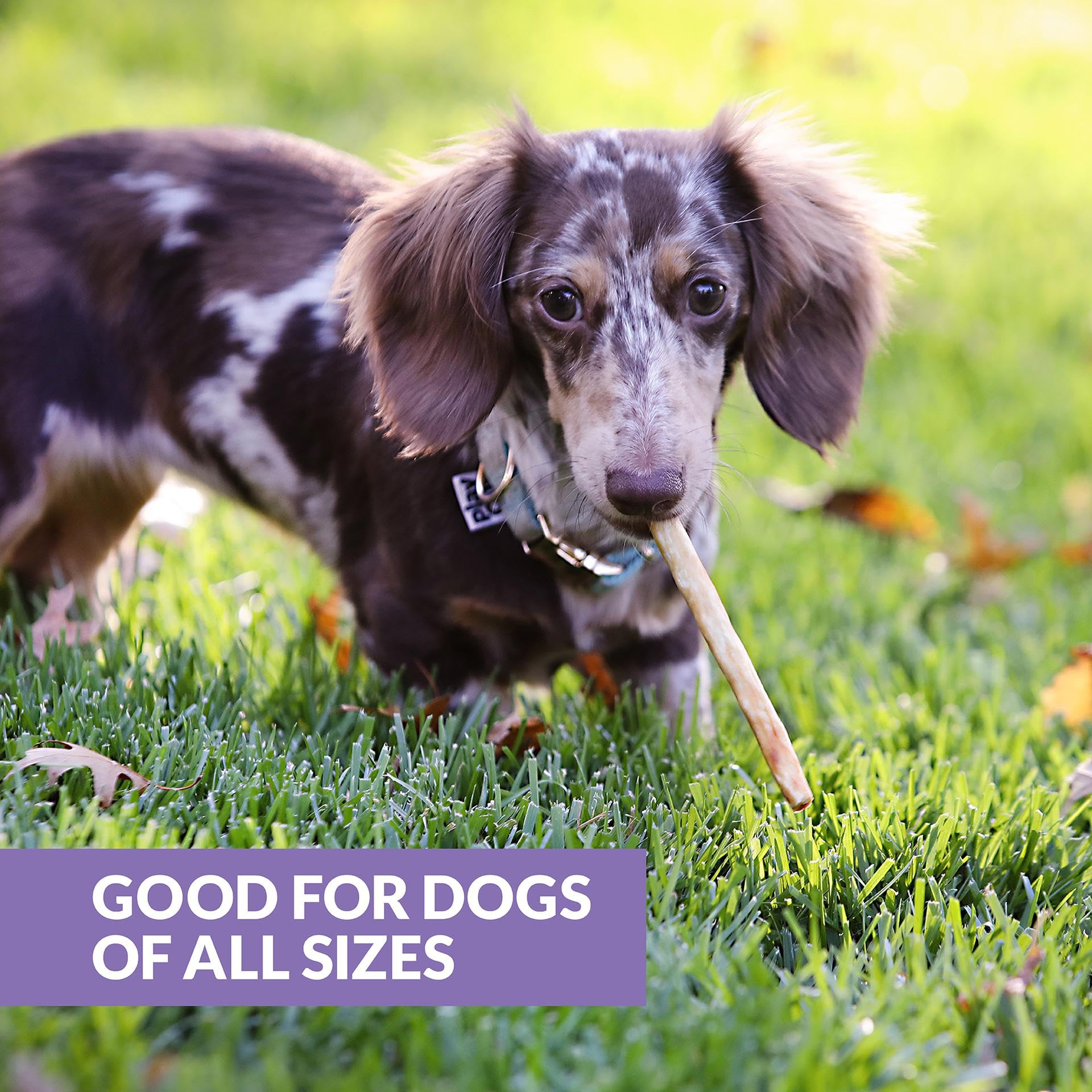 Wild Eats Duck Collagen Sticks ingredient panel display with guaranteed analysis.