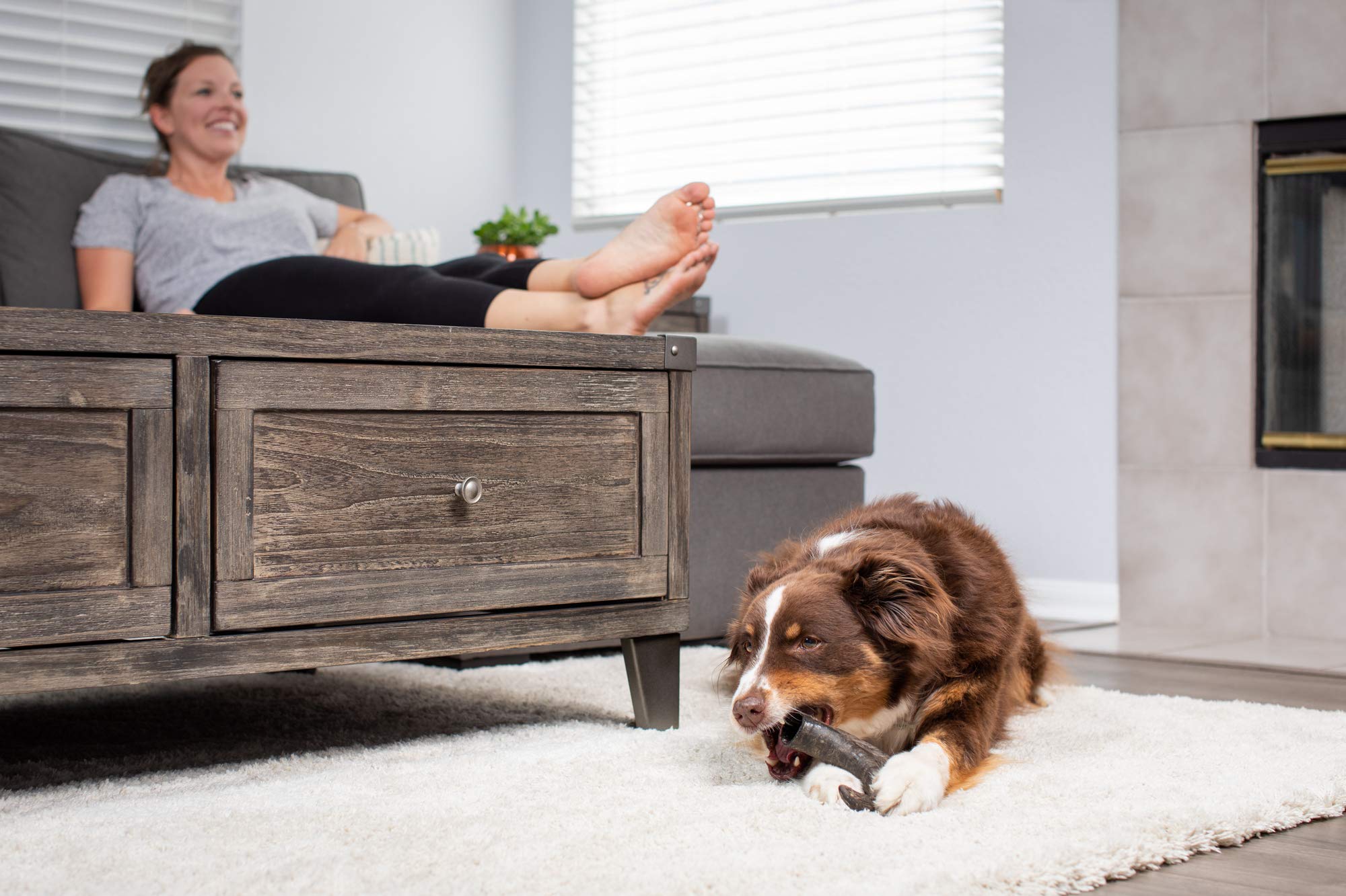 Wild Eats natural grain-free dog treat emphasizes single-source protein and digestibility.