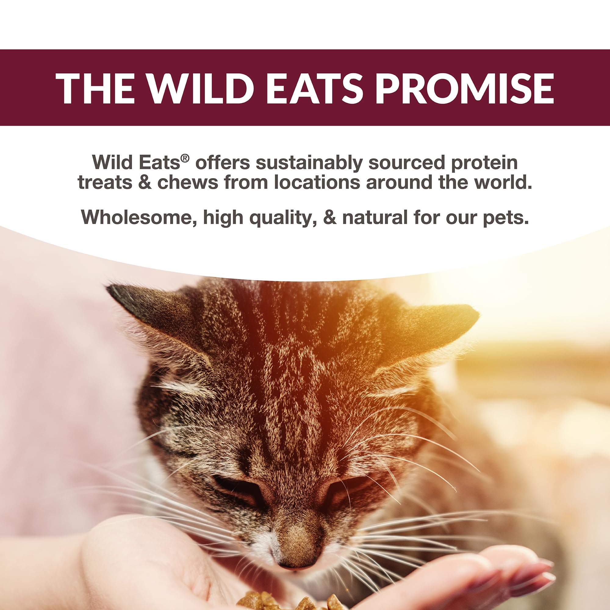 Wild Eats Simply Puree multi-flavor view, variety for cat meals and rewards.