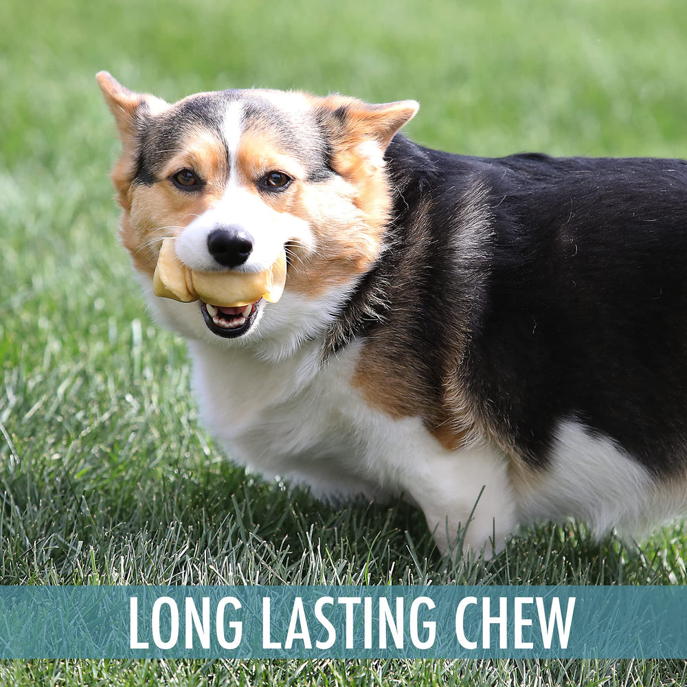 Wild Eats Water Buffalo Cheek Roll dental-action may help reduce plaque during chewing
