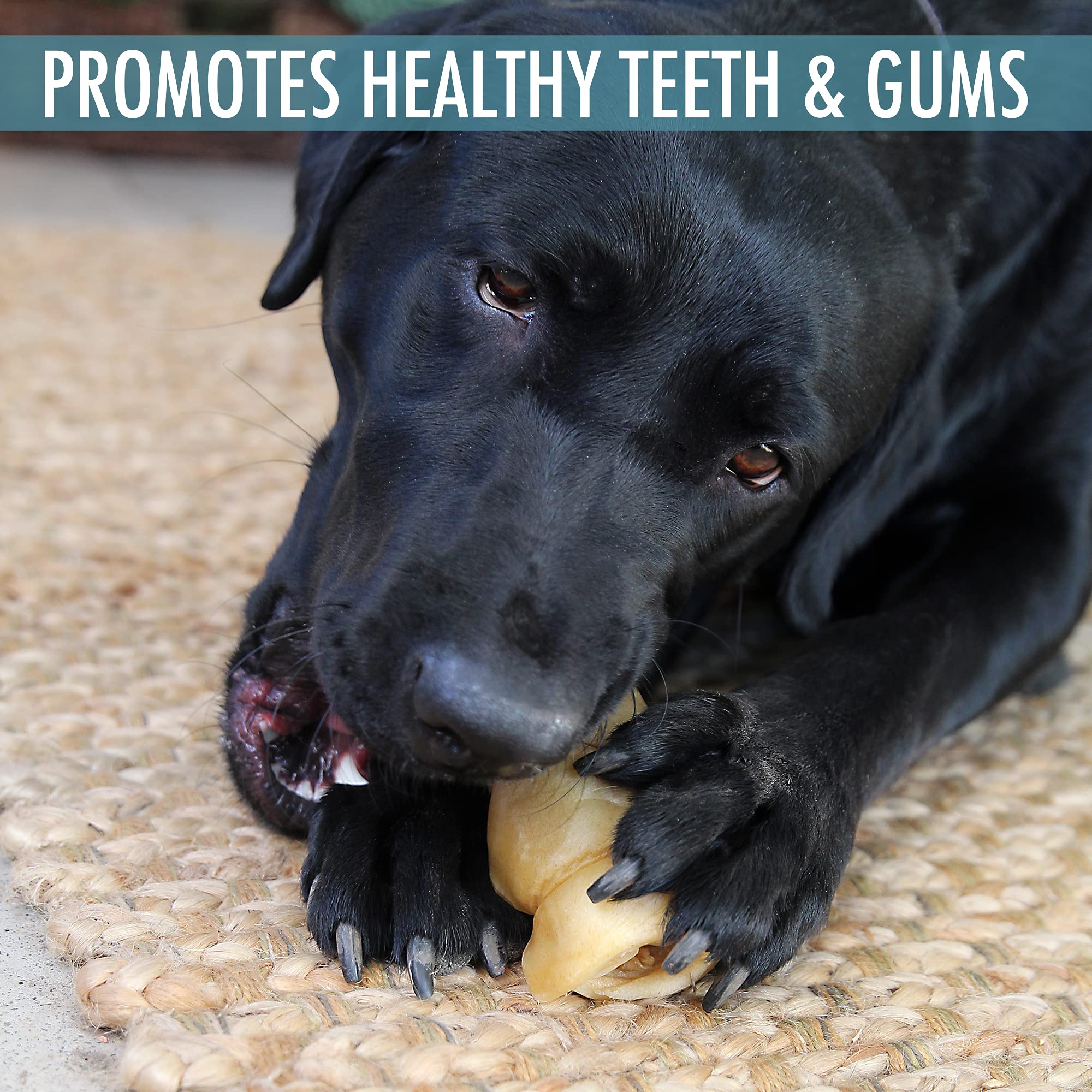 Wild Eats Water Buffalo Cheek Roll texture emphasizes grain-free, digestible chew