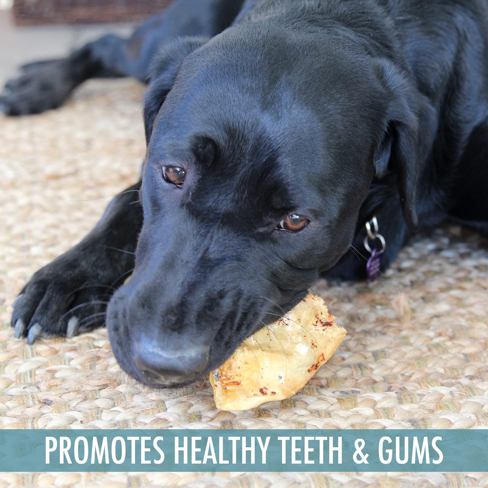 Wild Eats Water Buffalo ear dusted product angle emphasizes single-source protein benefits.