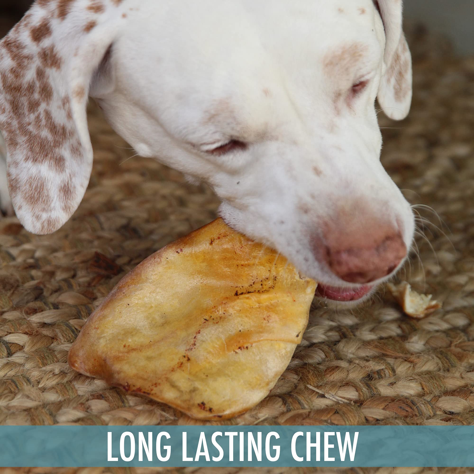 Wild Eats Water Buffalo ear dusted grain-free option suitable for dogs seeking protein.