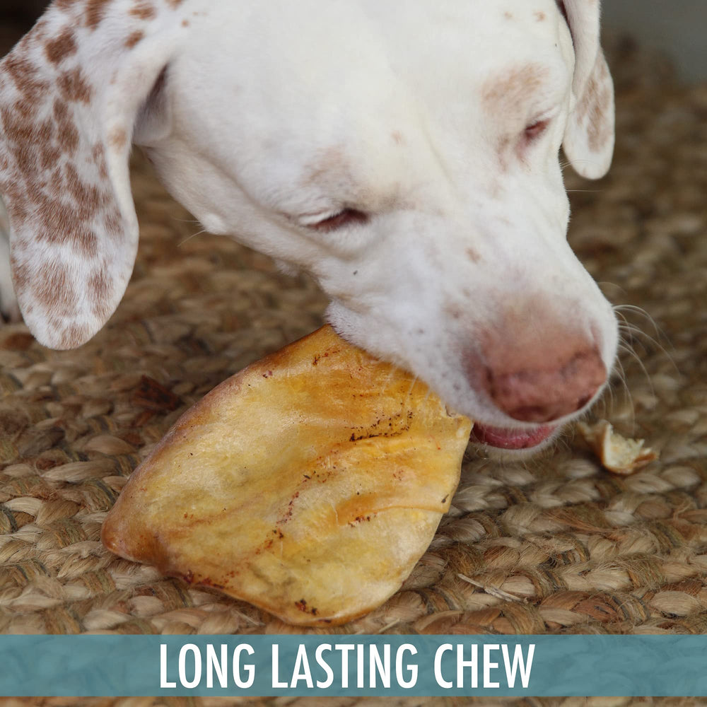 Wild Eats Water Buffalo ear dusted grain-free option suitable for dogs seeking protein.