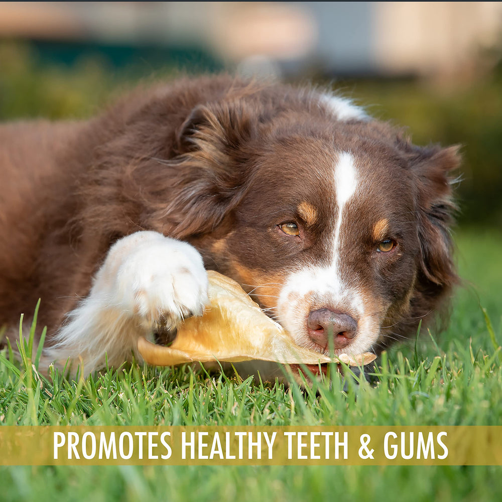 Wild Eats Water Buffalo production facilities signaling high standards