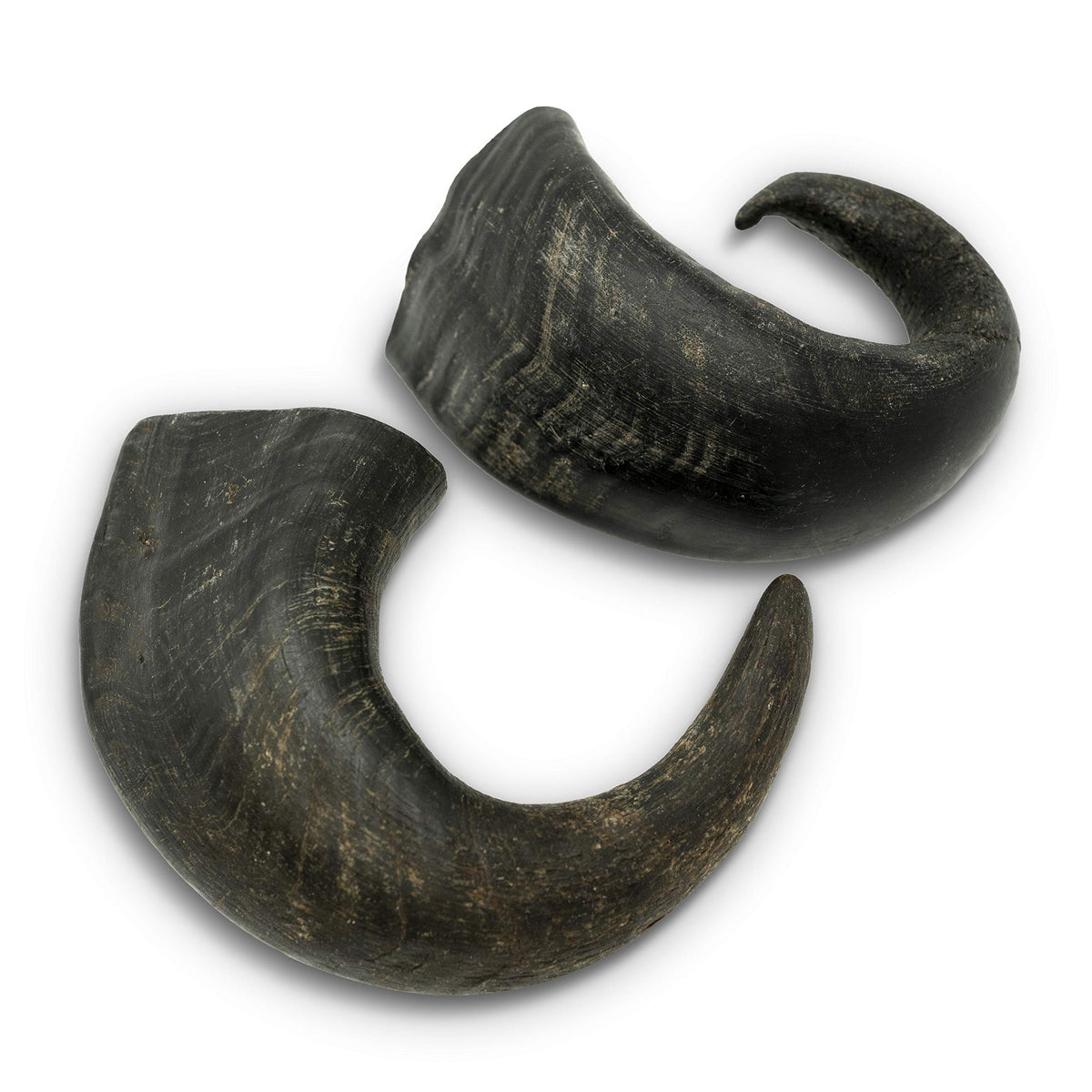 Wild Eats Water Buffalo Horn chew portion for dogs offers long-lasting entertainment.