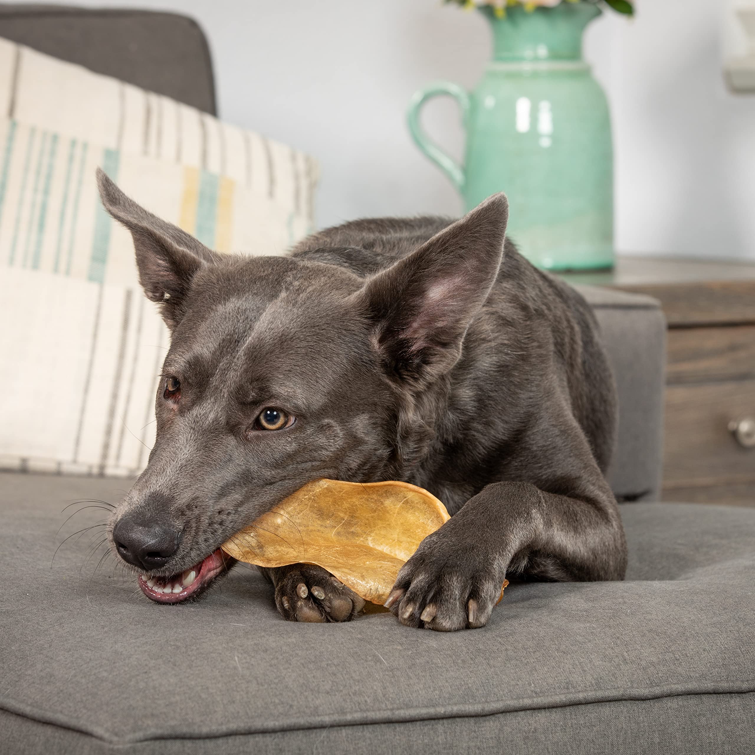 Wild Eats Water Buffalo Prime variety bones closeup highlighting protein-rich chew options