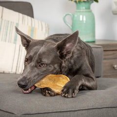 Wild Eats Water Buffalo Prime variety bones closeup highlighting protein-rich chew options