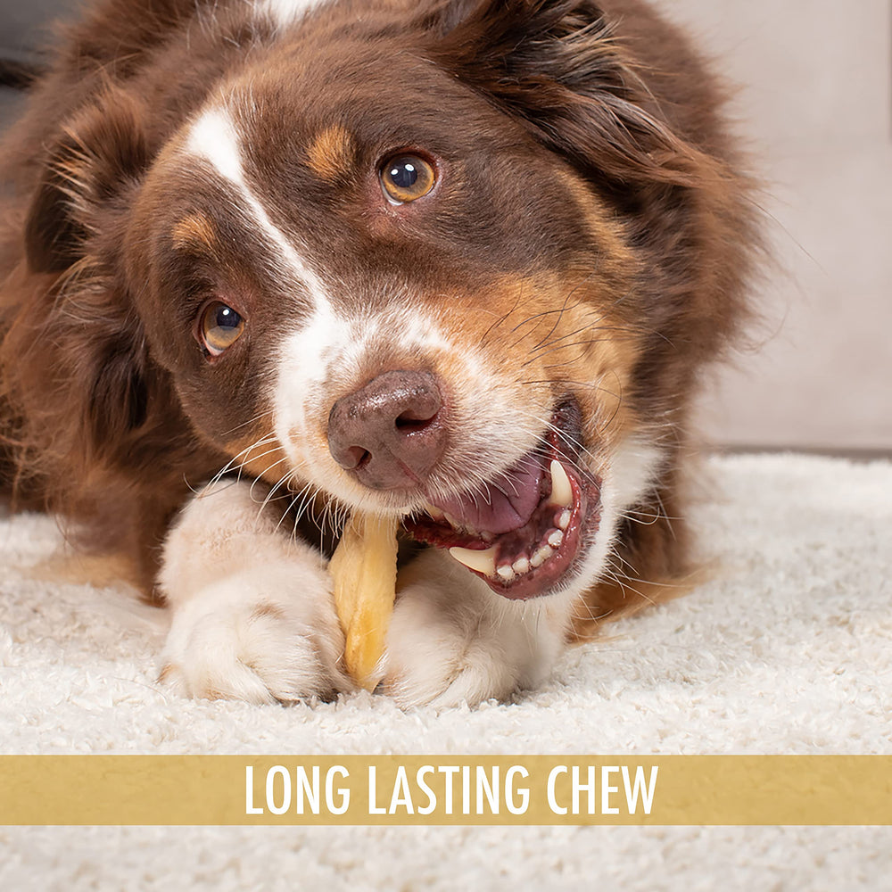 Wild Eats Water Buffalo Treats display featuring a lasting chew option