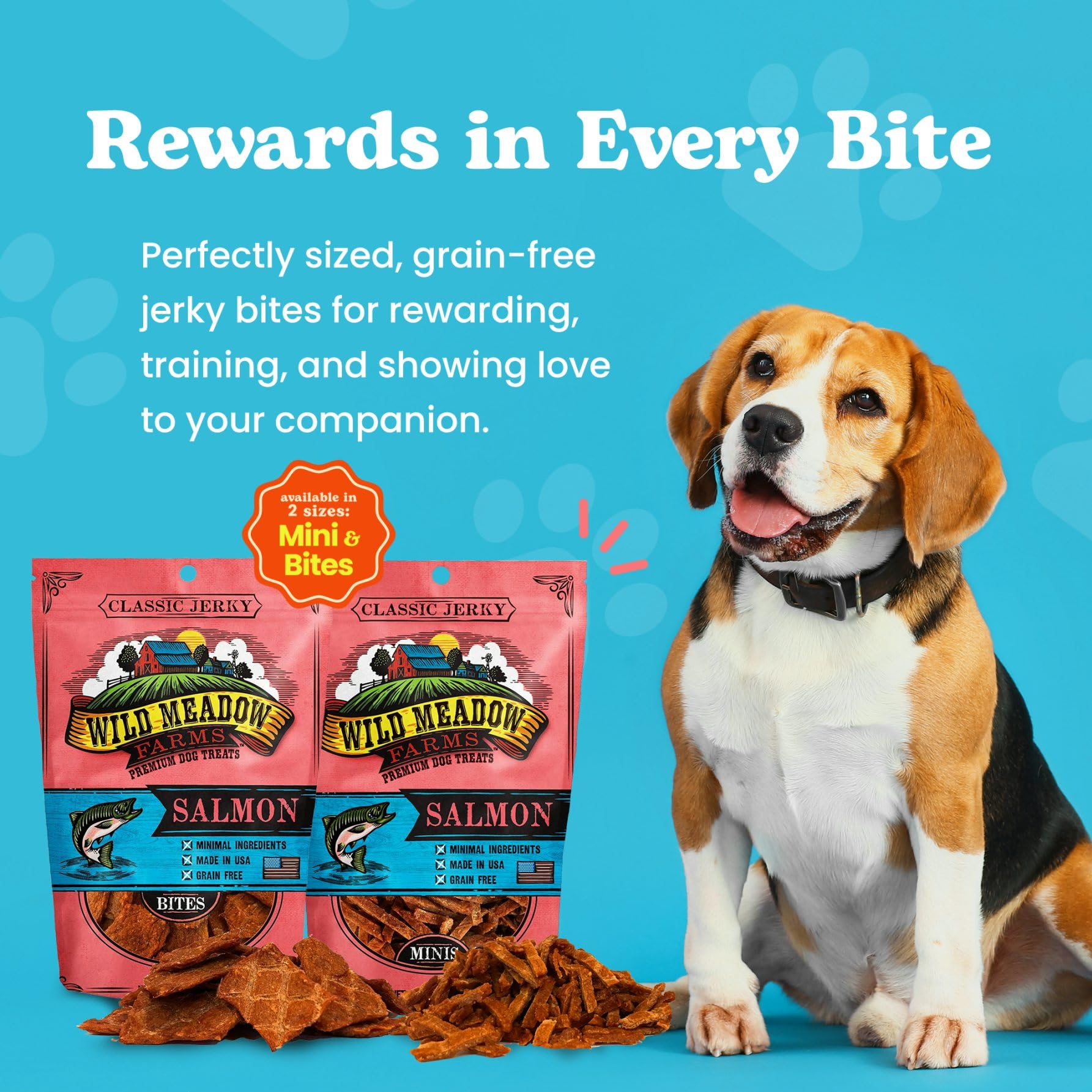 Wild Meadow Farms Salmon Bites close-up shows soft jerky texture ideal for training