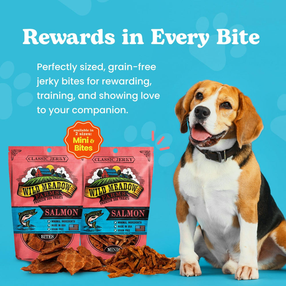 Wild Meadow Farms Salmon Bites close-up shows soft jerky texture ideal for training
