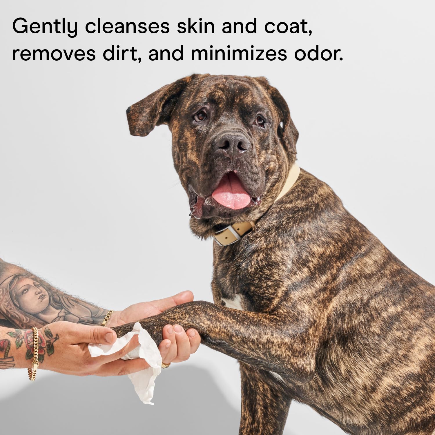 Wild One eucalyptus dog wipes in action on coat for gentle dirt lift.