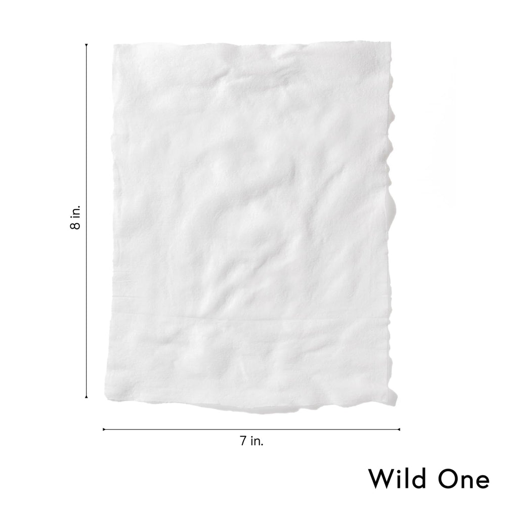 Wild One eucalyptus dog wipes moisture close-up—stays moist for quick cleans.