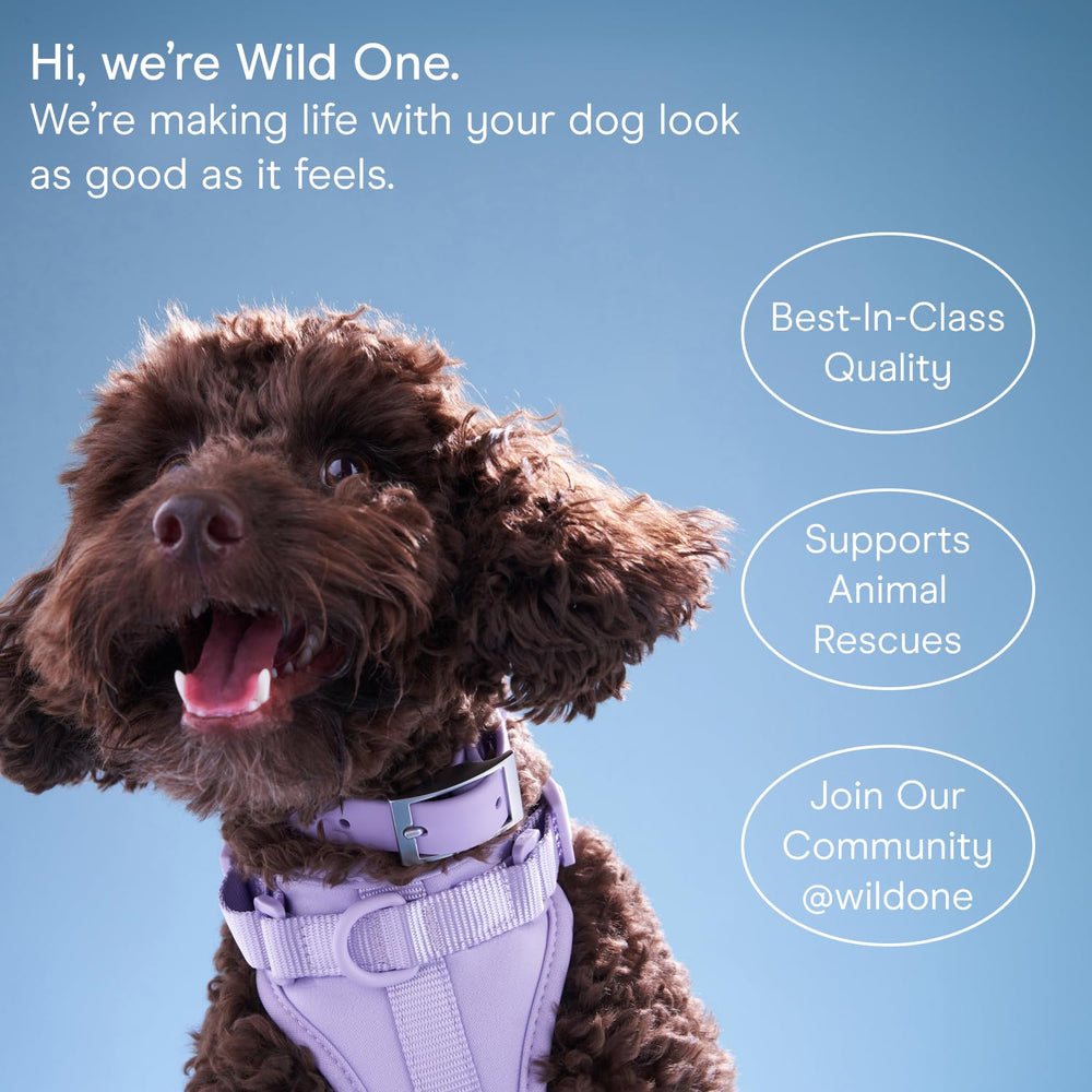 Wild One eucalyptus dog wipes natural ingredients—coconut water and aloe vera for gentle cleansing.