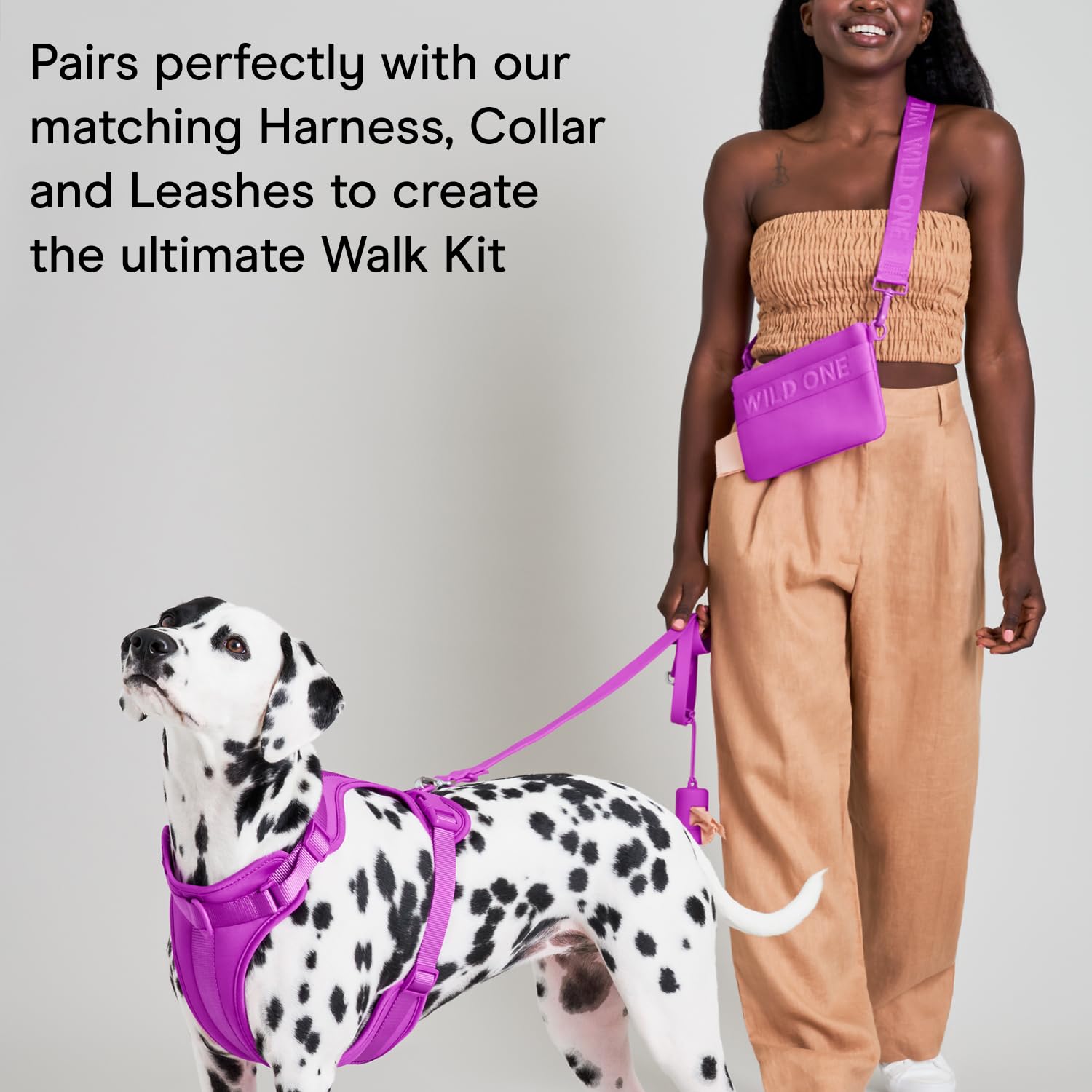 Wild One Treat Pouch stores treats plus phone, keys, and wallet.