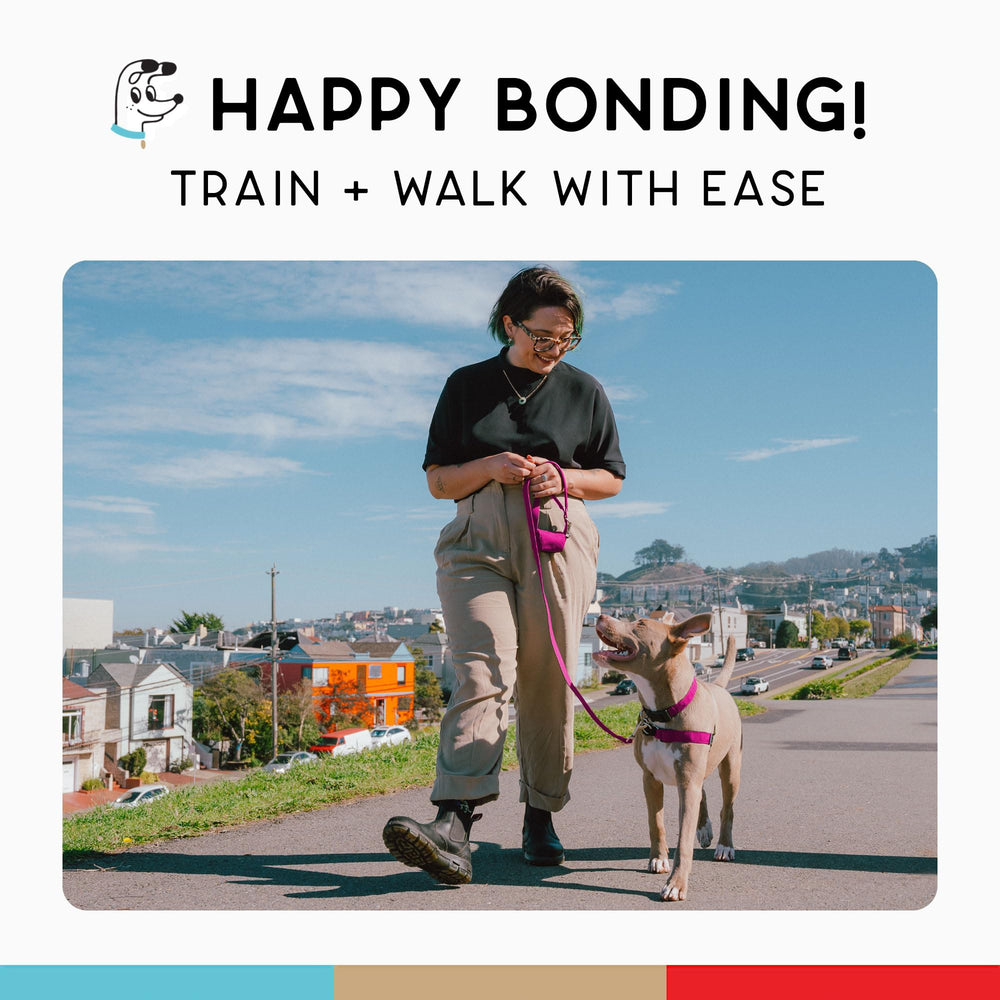 Wildebeest dog wearing No Pull Harness in action during leash walks