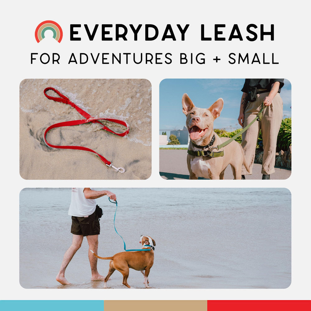 Wildebeest Funston leash D-ring with accessory option adds convenience.