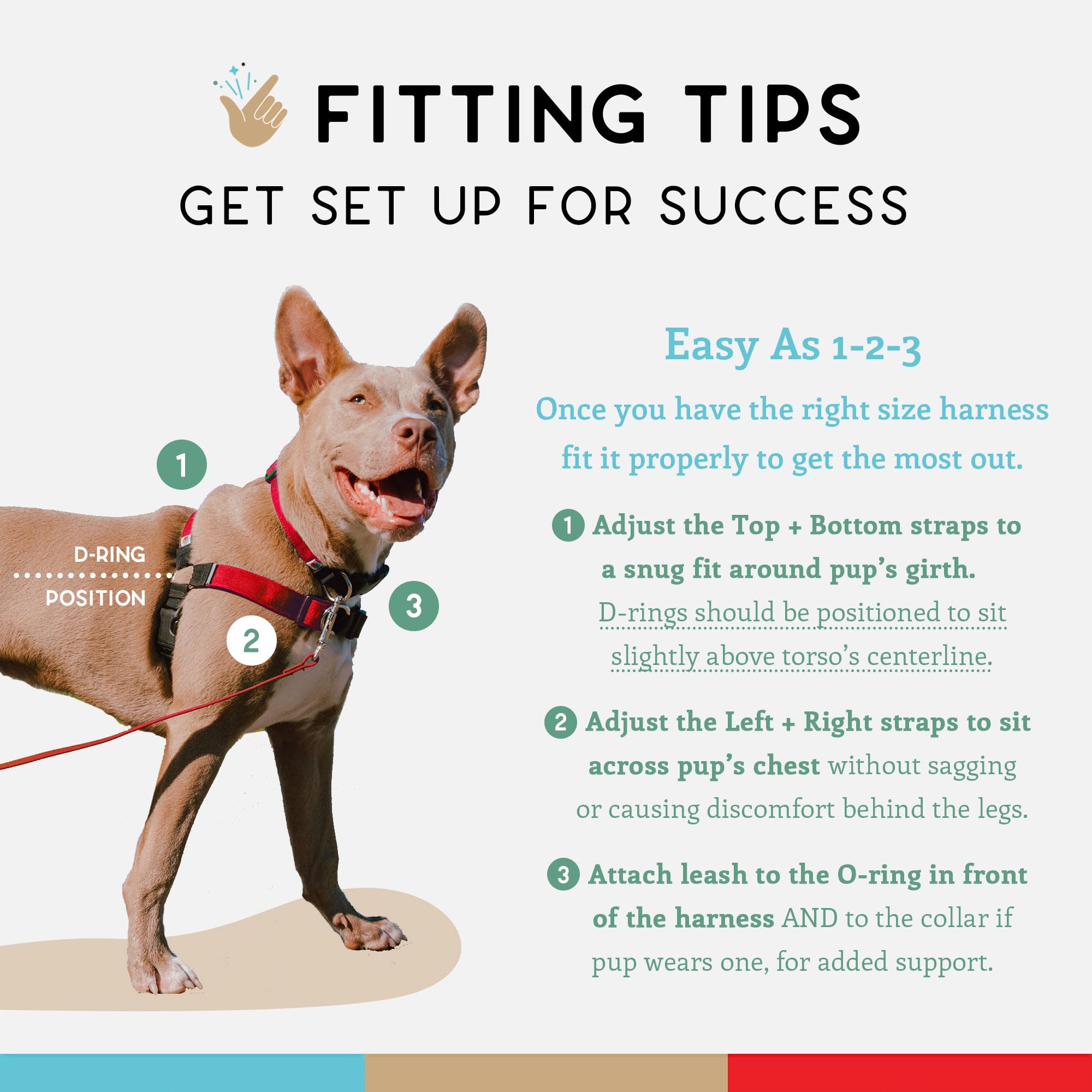 Wildebeest No Pull Harness fit tips with size guidance.