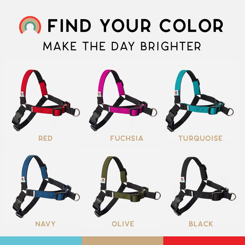 Wildebeest No Pull Harness supported by Wild4Life warranty for peace of mind