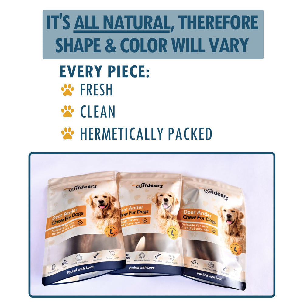 Wildeers Large Deer Antlers for Dogs shown beside a bowl—clean, safe daily chew.