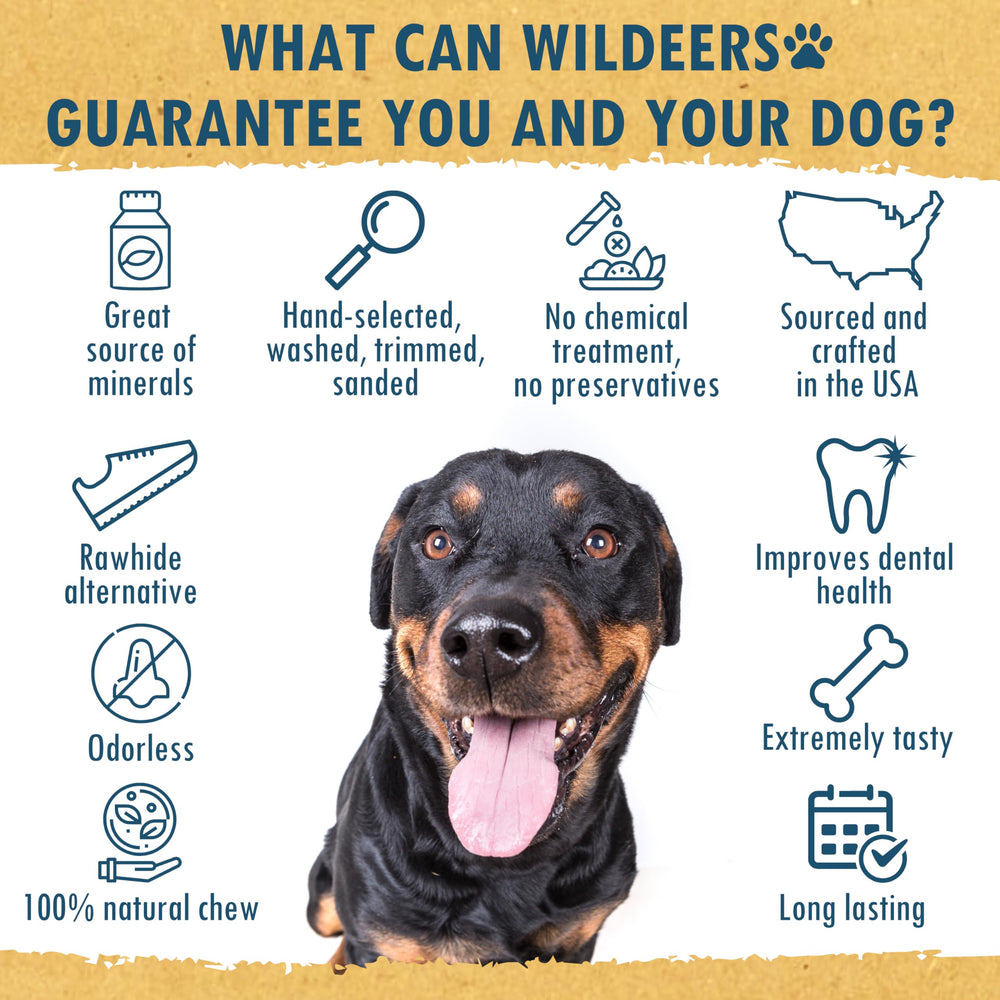 Wildeers Large Deer Antlers for Dogs in packaging—fresh, inspected, minimal mess.