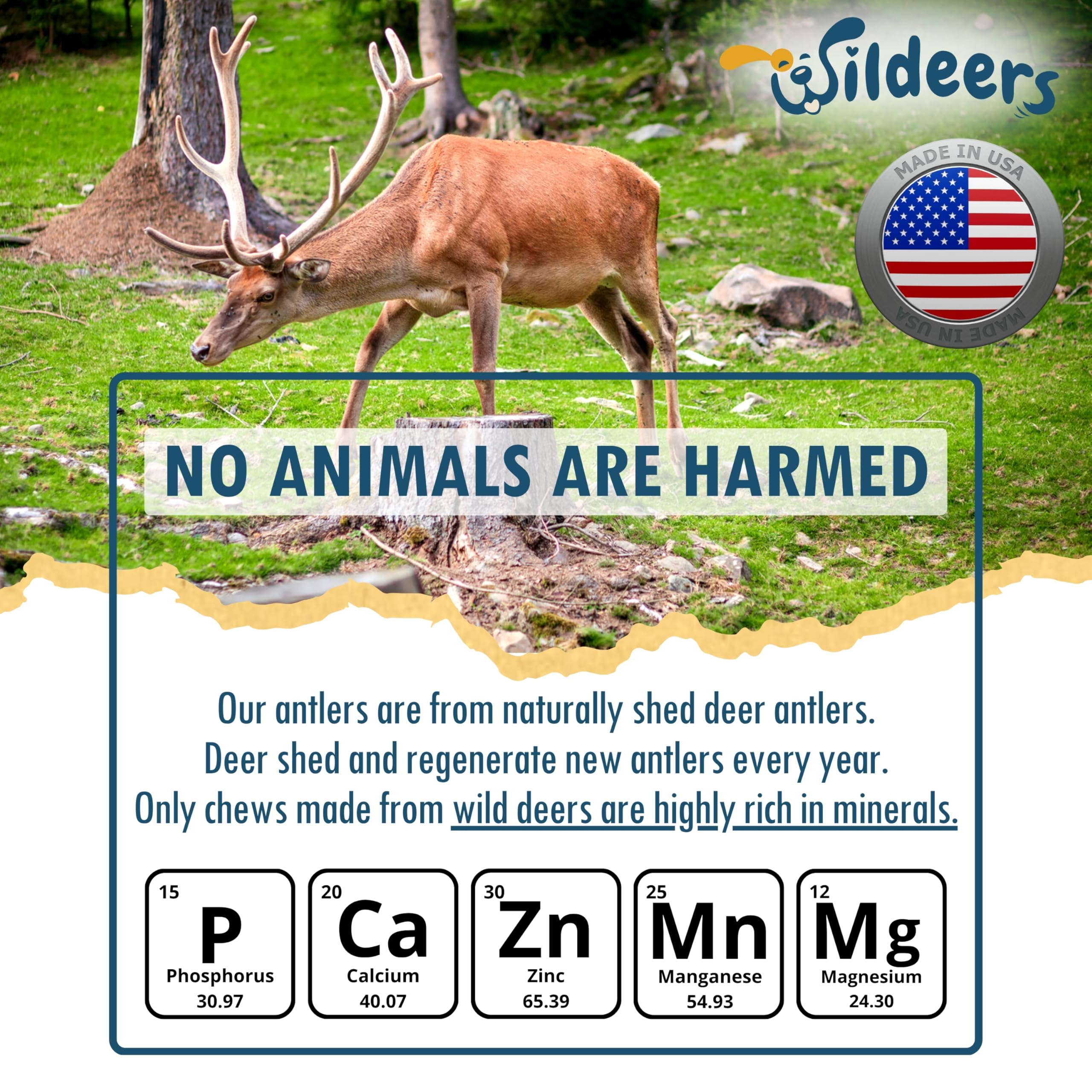 Wildeers Large Deer Antlers for Dogs two-piece set—versatile chews for large breeds.