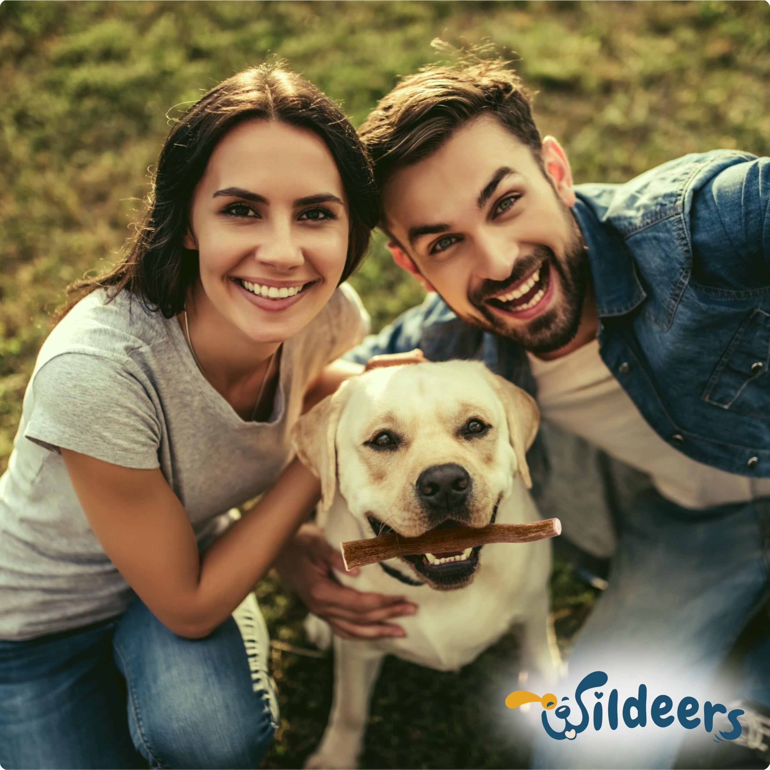 Wildeers Large Deer Antlers for Dogs—USA-sourced antlers with natural minerals.