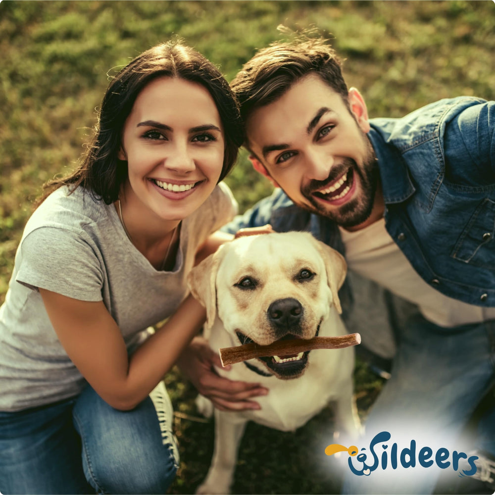 Wildeers Large Deer Antlers for Dogs—USA-sourced antlers with natural minerals.